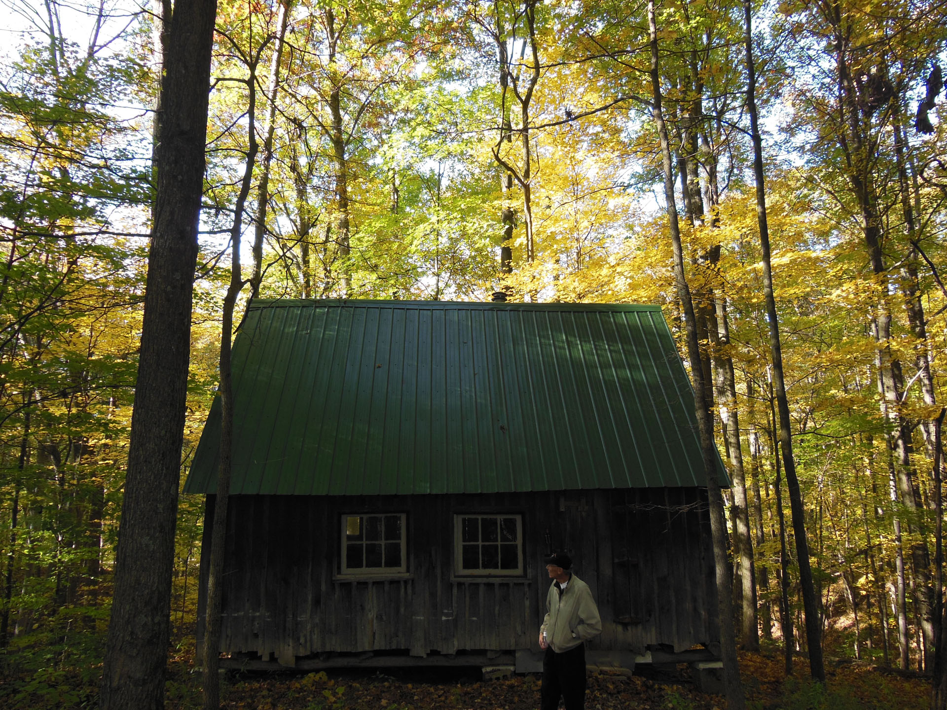 838 Milton Cabin 2013DSCN2278